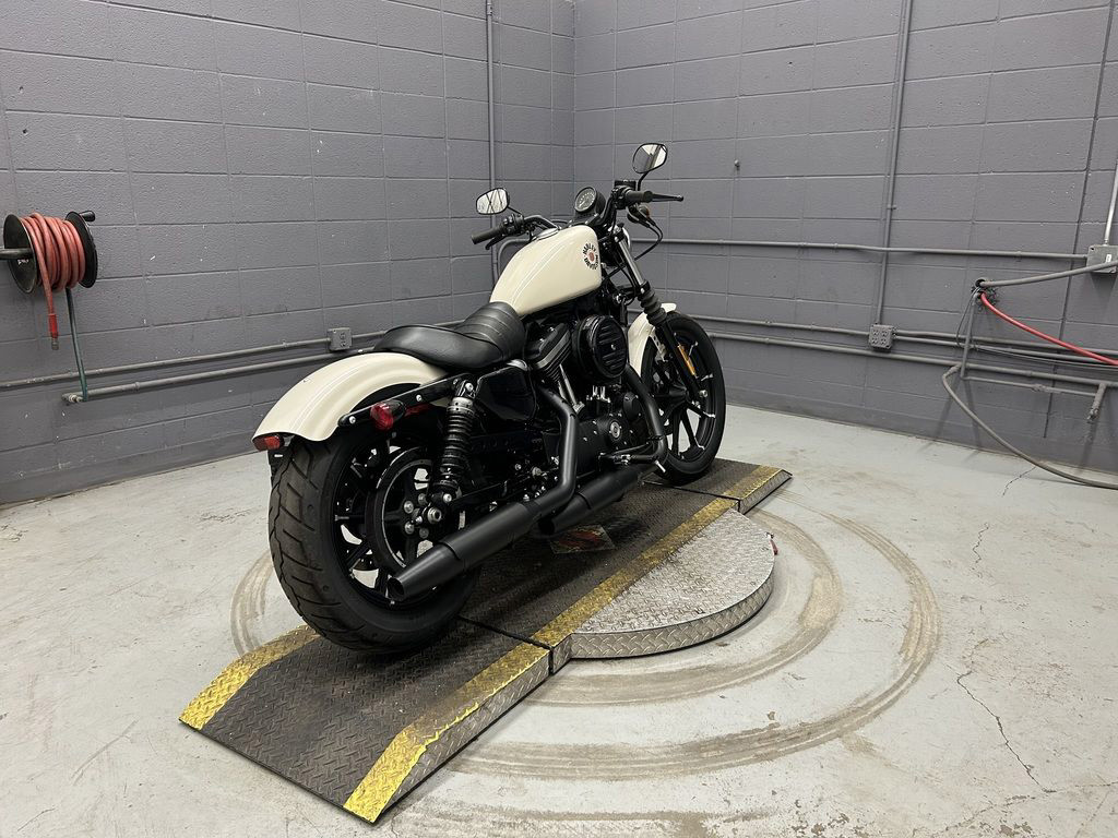 Iron 883®