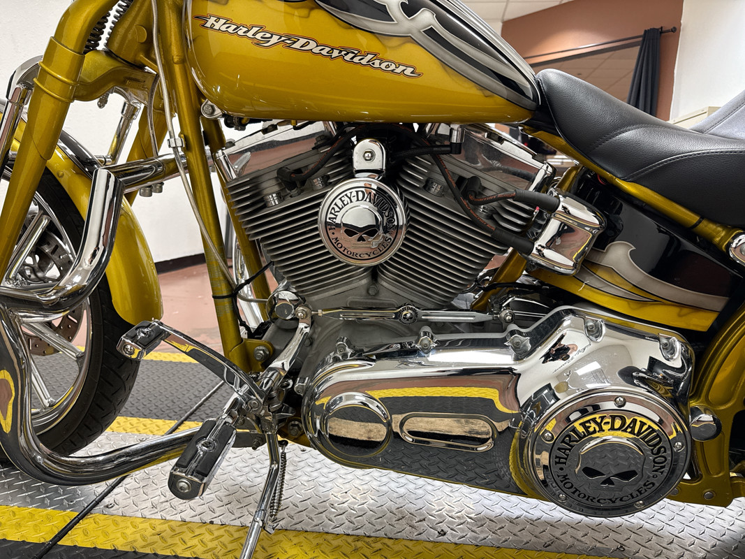 Screamin' Eagle® Softail® Springer®