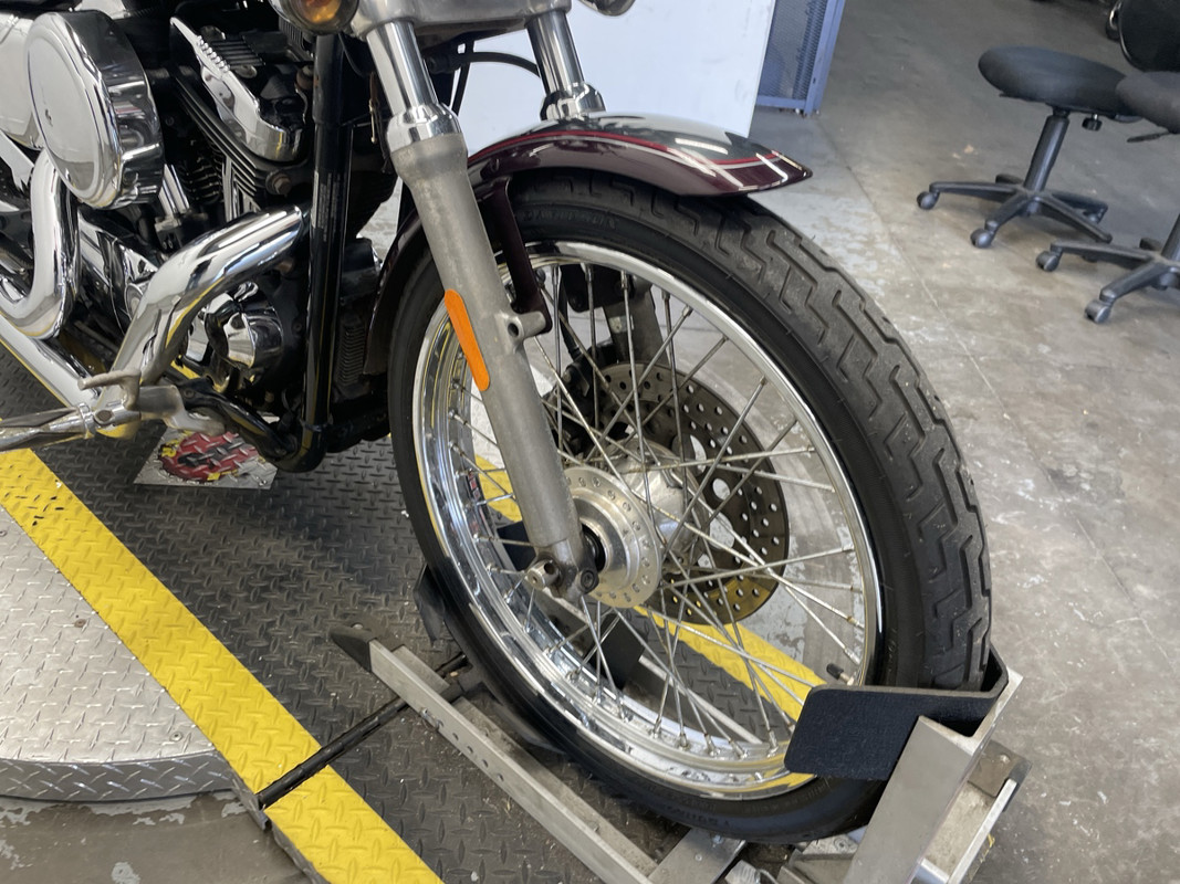 Sportster® 1200 Custom