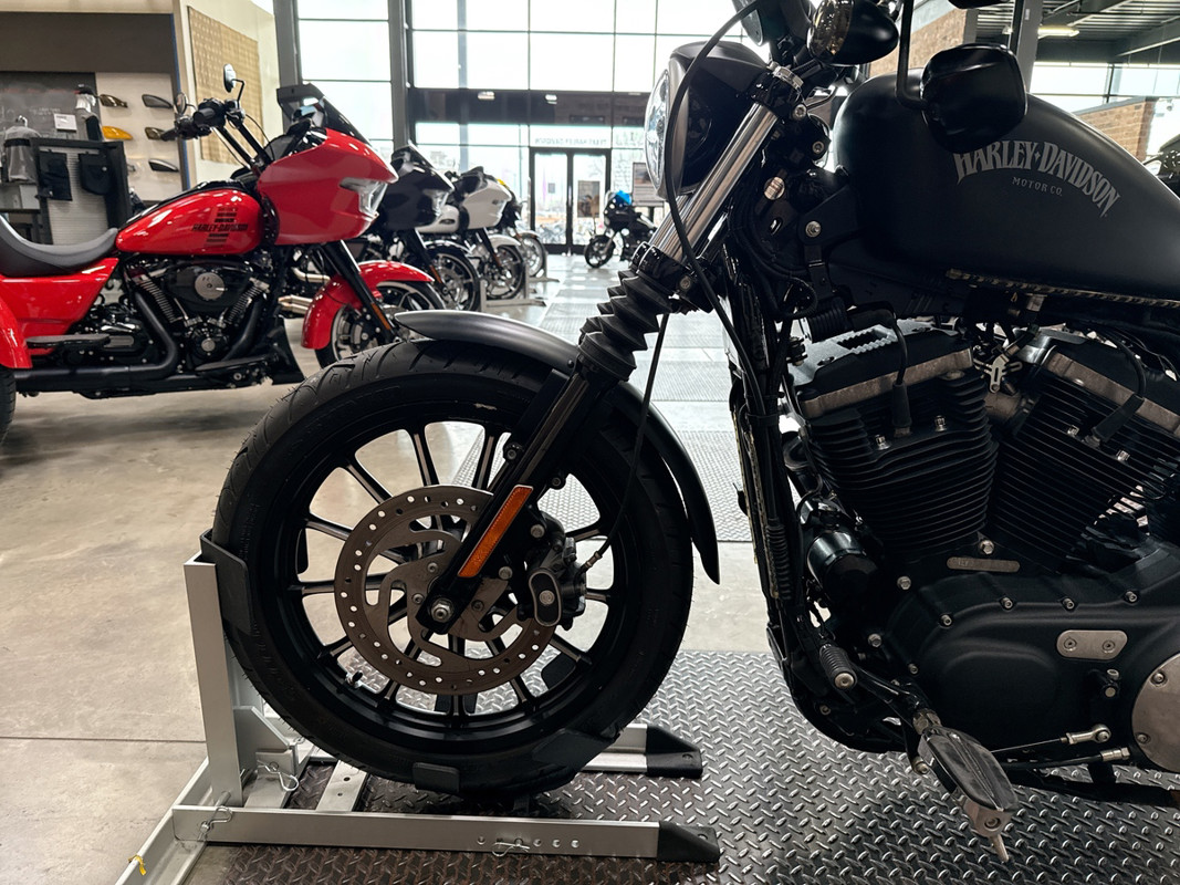 Sportster® Iron 883®