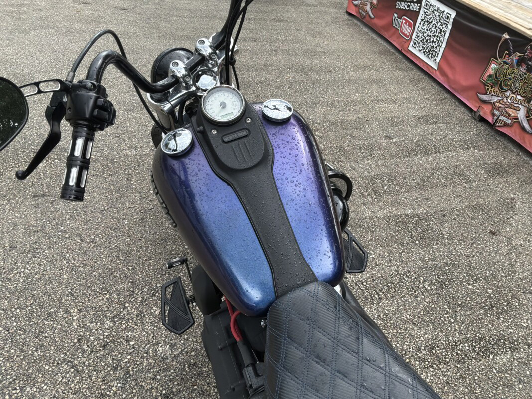 Dyna® Street Bob®