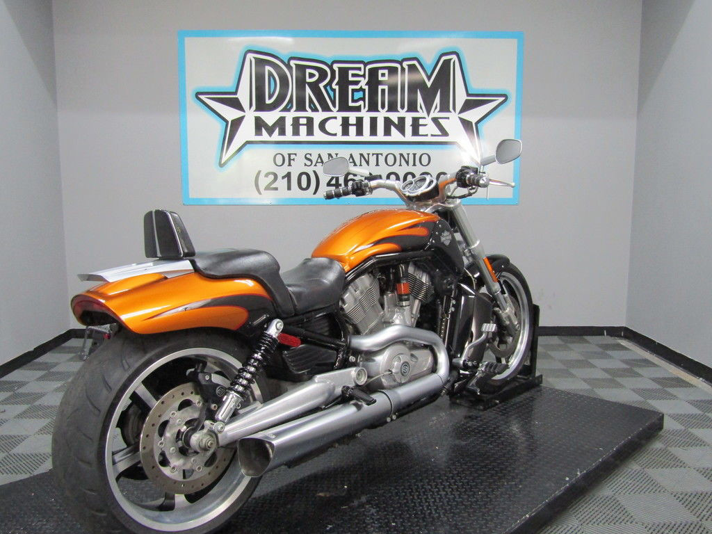 V-Rod® Muscle
