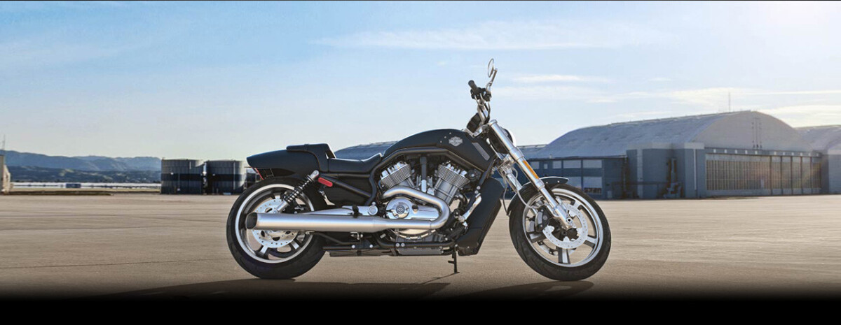 V-Rod® Muscle
