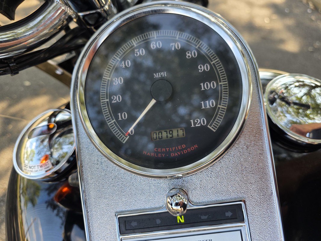 Springer® Softail® Anniversary