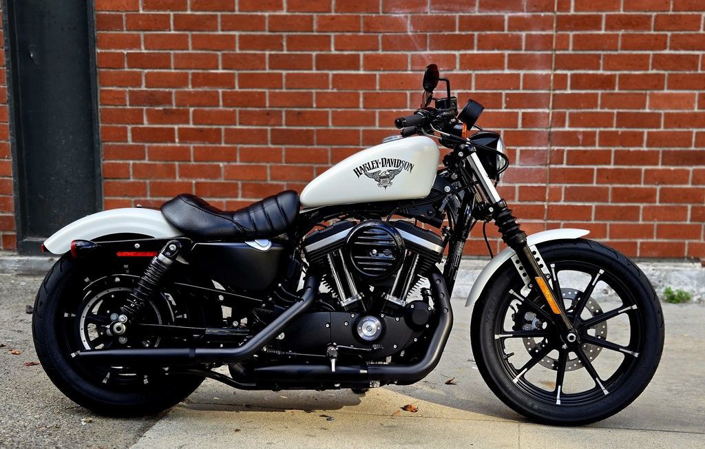 Sportster® Iron 883®
