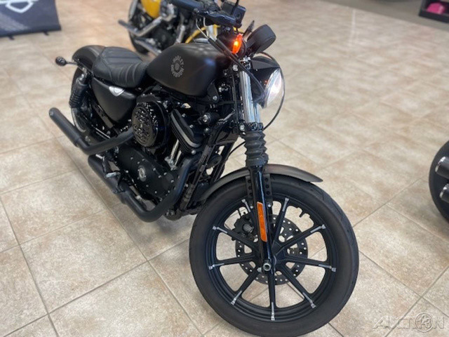 Iron 883®