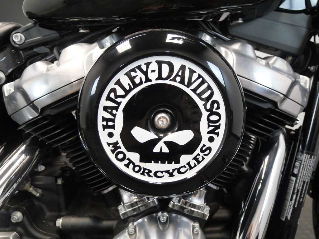 Softail® Standard