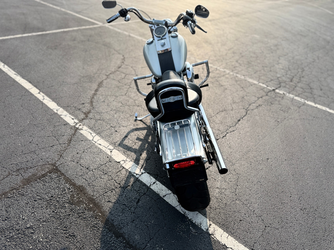 Softail® Standard