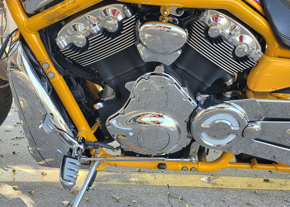 Screamin'  Eagle® V-Rod®