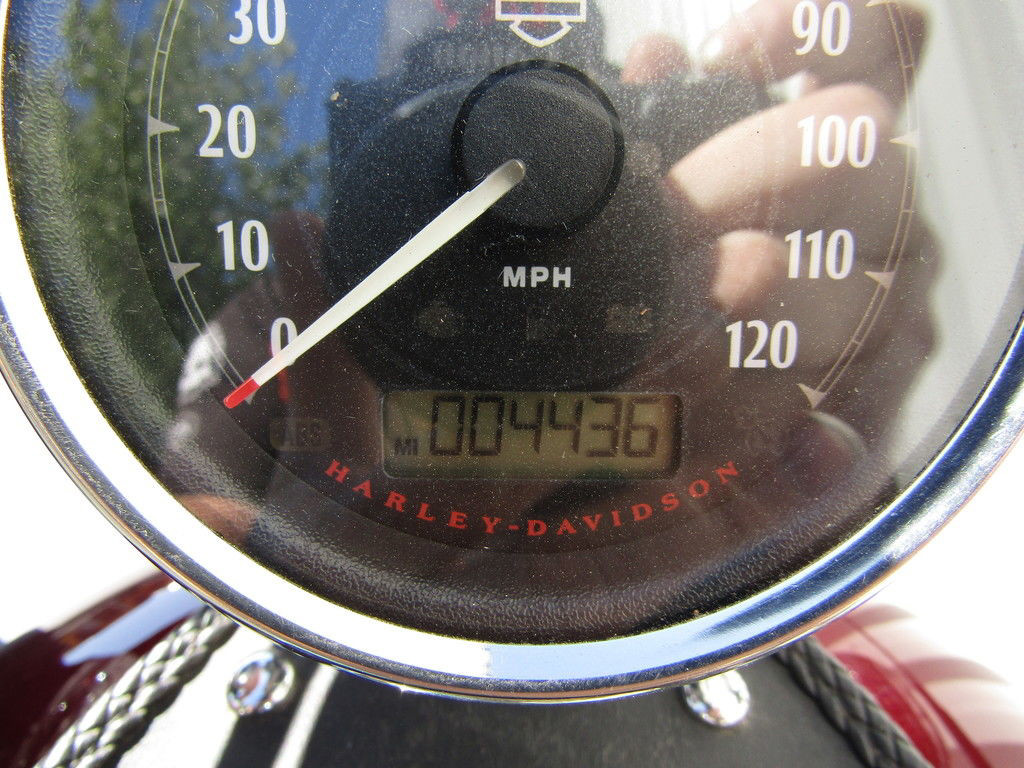 Sportster® 1200 Custom