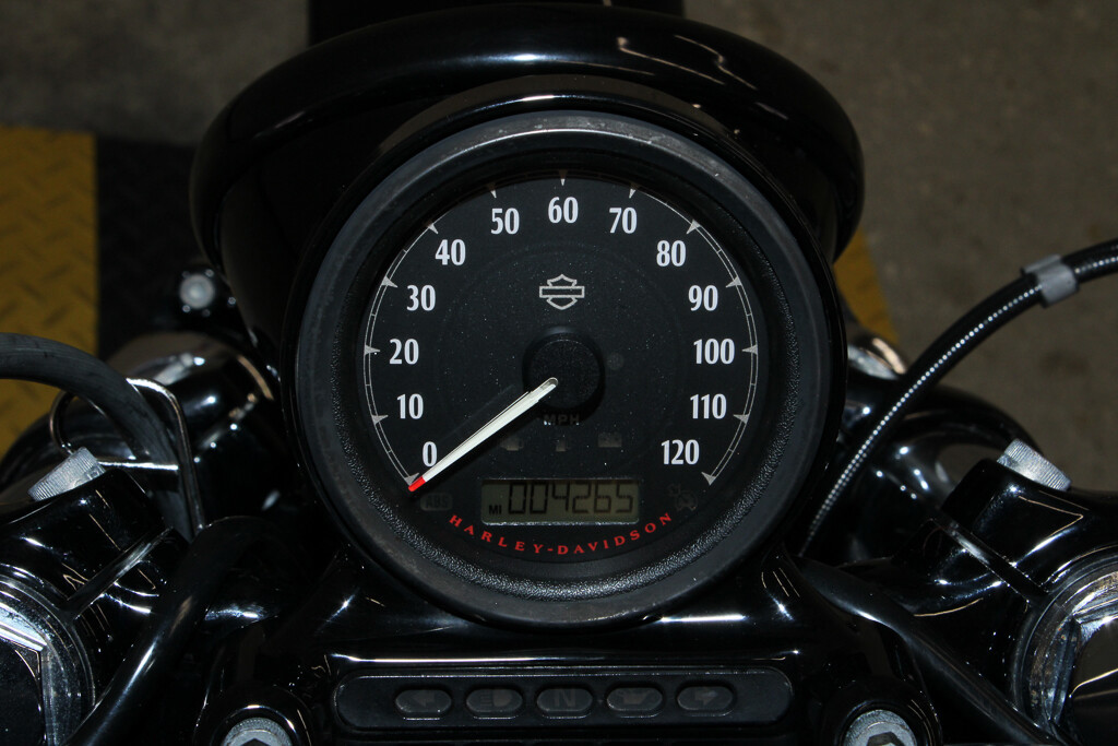 Forty-Eight®