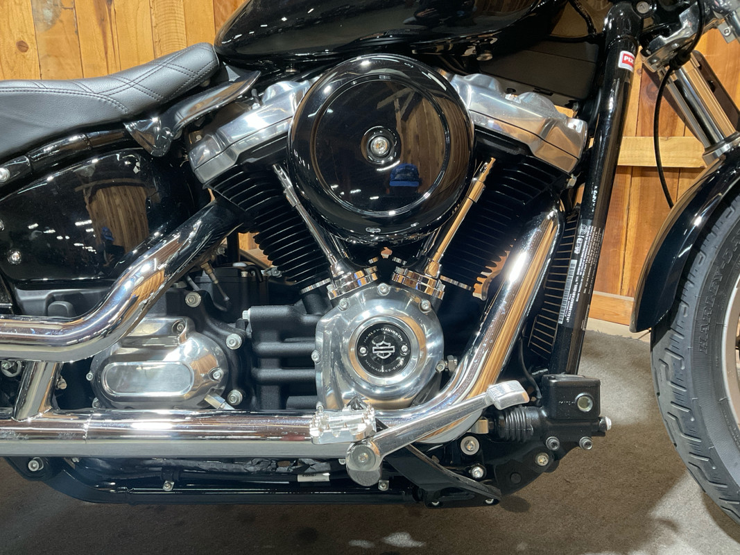Softail® Standard