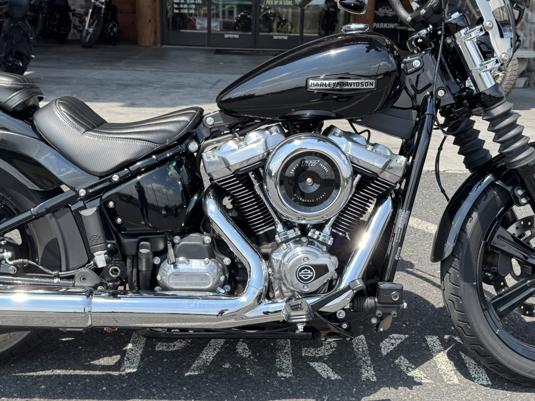 Street Bob®