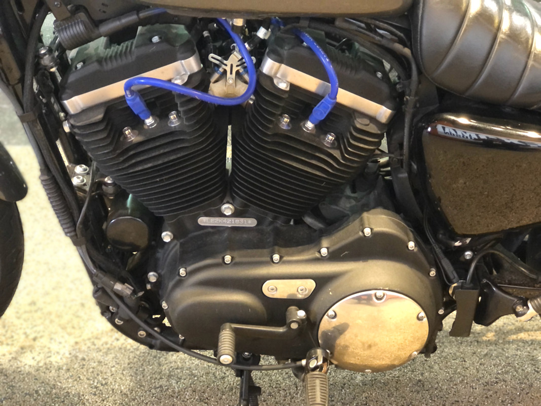 Sportster® Iron 883®