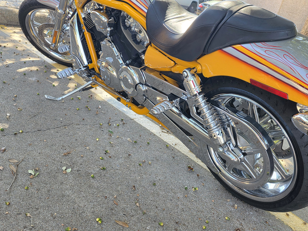 Screamin'  Eagle® V-Rod®