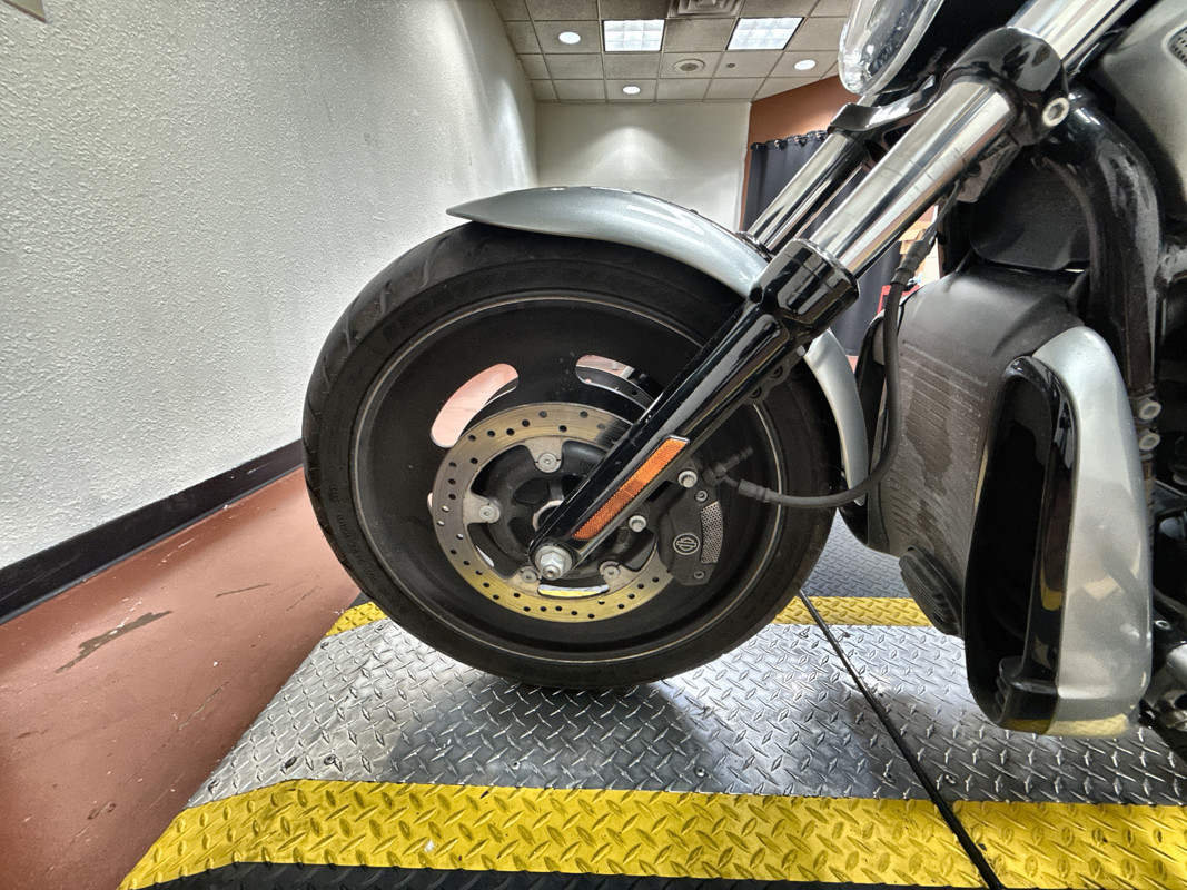 Night Rod® Special