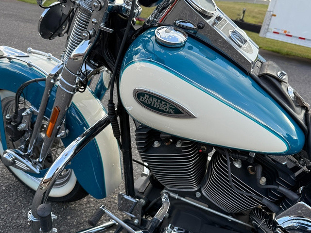 Springer® Softail®