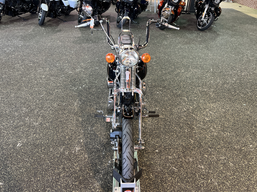 Springer® Softail®