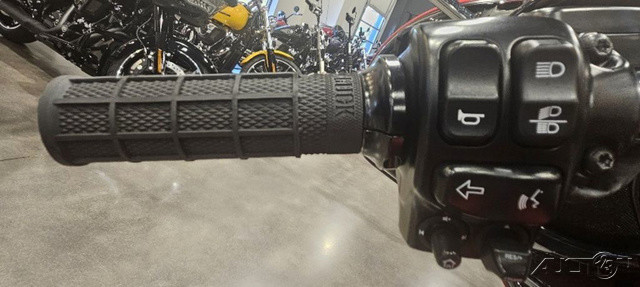 Street Glide® Special