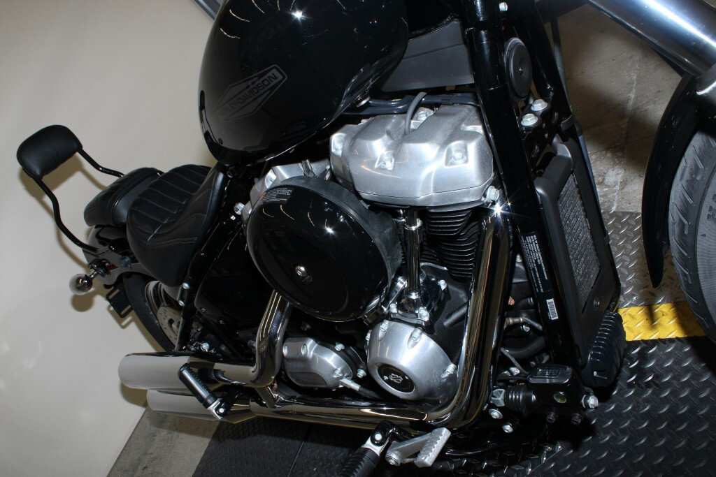 Softail® Standard