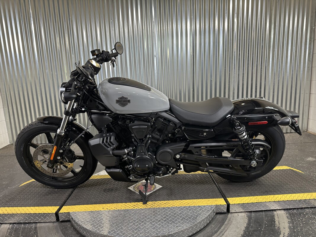 Nightster Special