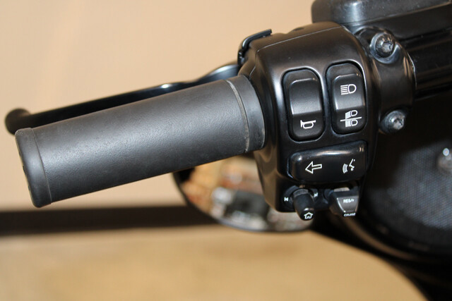 Street Glide® Special