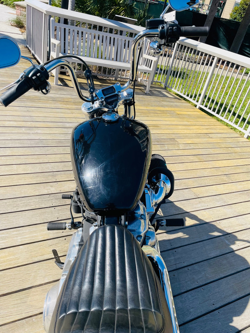 Softail® Standard
