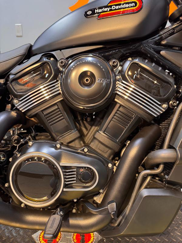 Nightster Special