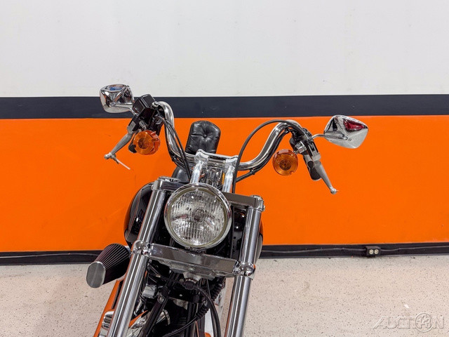 Softail® Custom