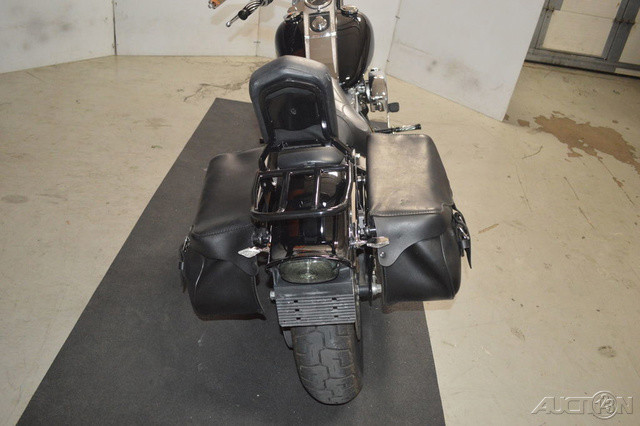 Softail® Standard
