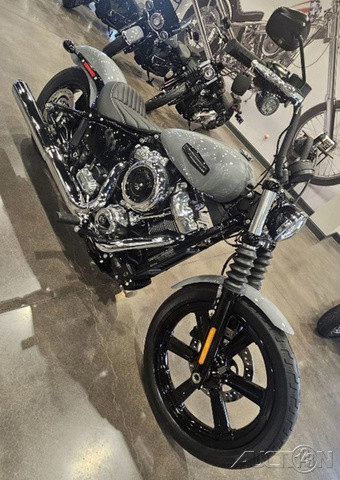 Street Bob®