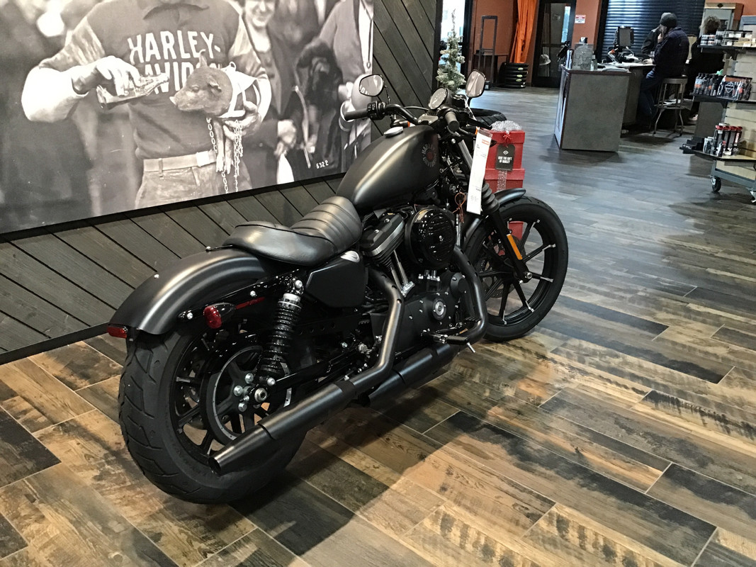 Iron 883®