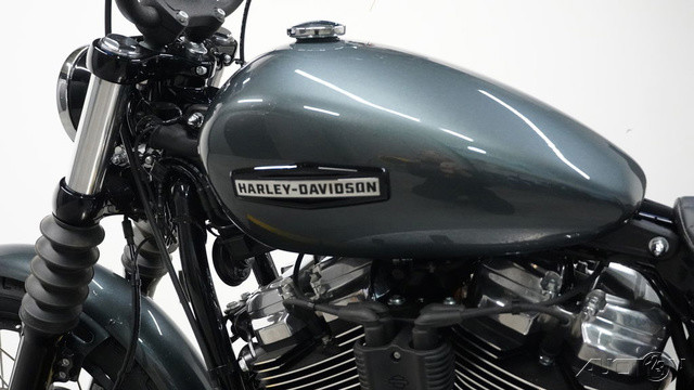 Street Bob®