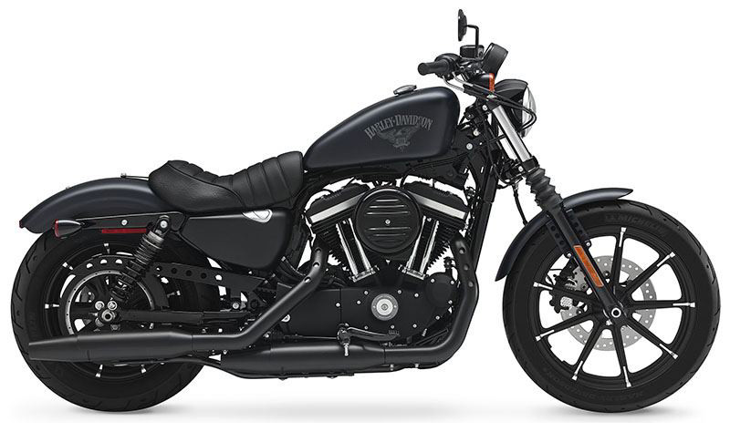 Sportster® Iron 883®