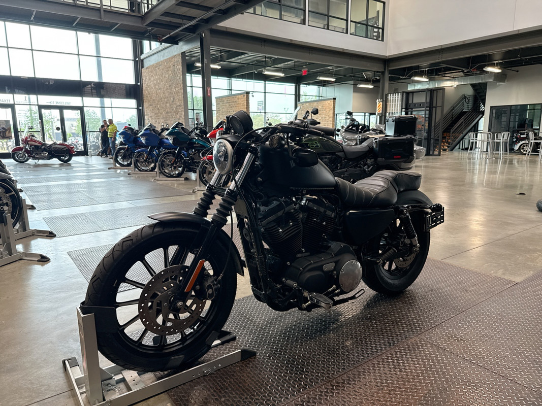 Sportster® Iron 883®