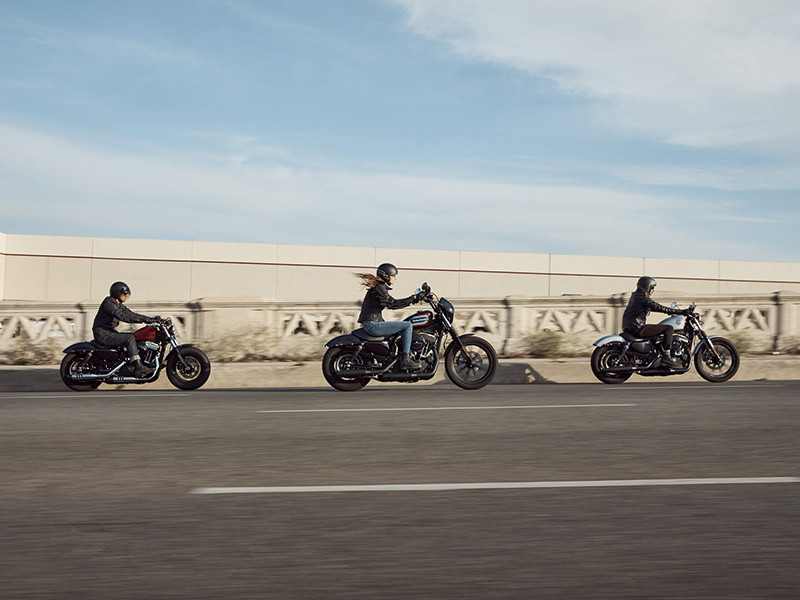 Iron 1200®