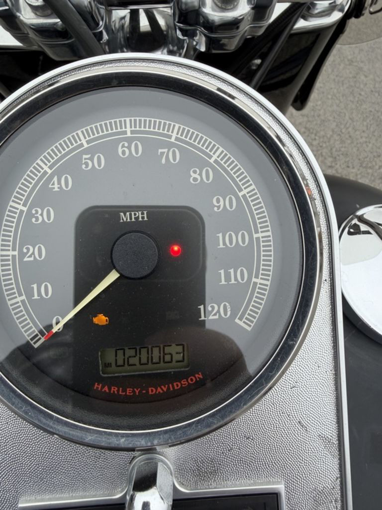 Softail® Fat Boy® Lo