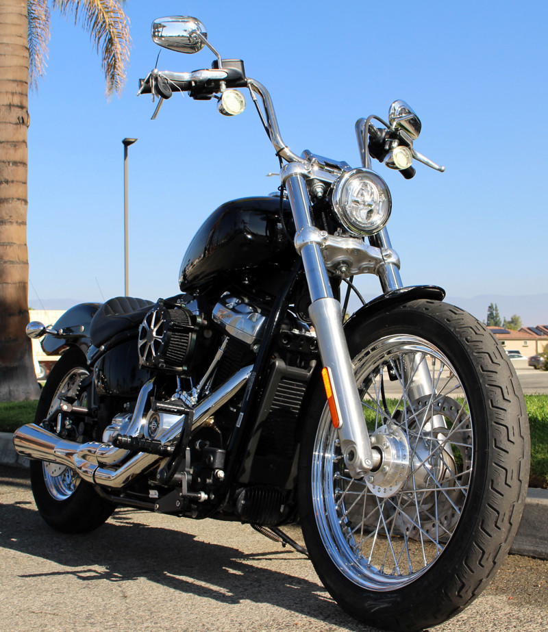 Softail® Standard