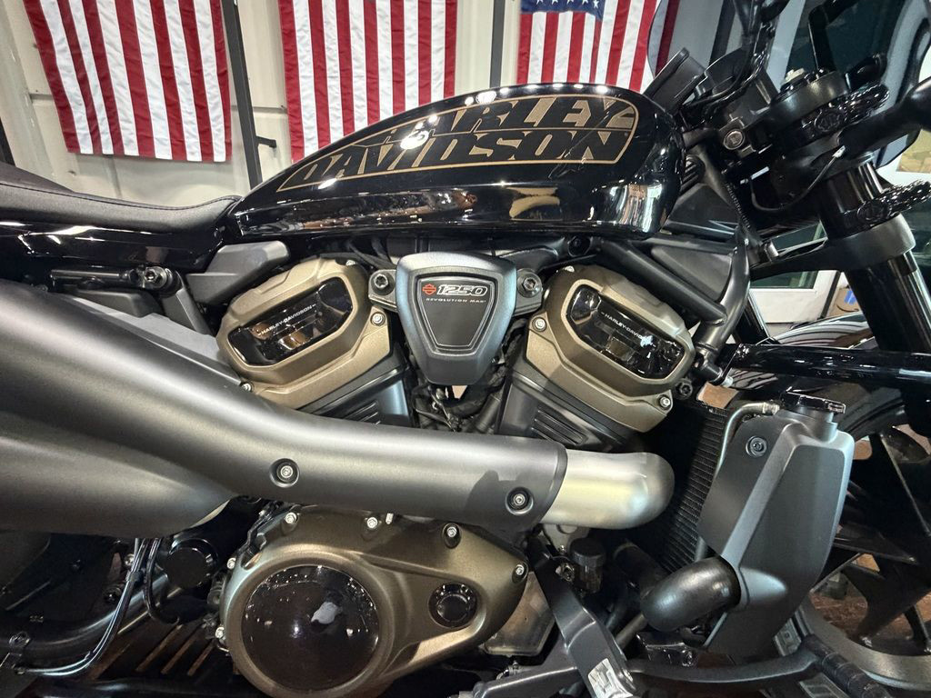 Sportster® S