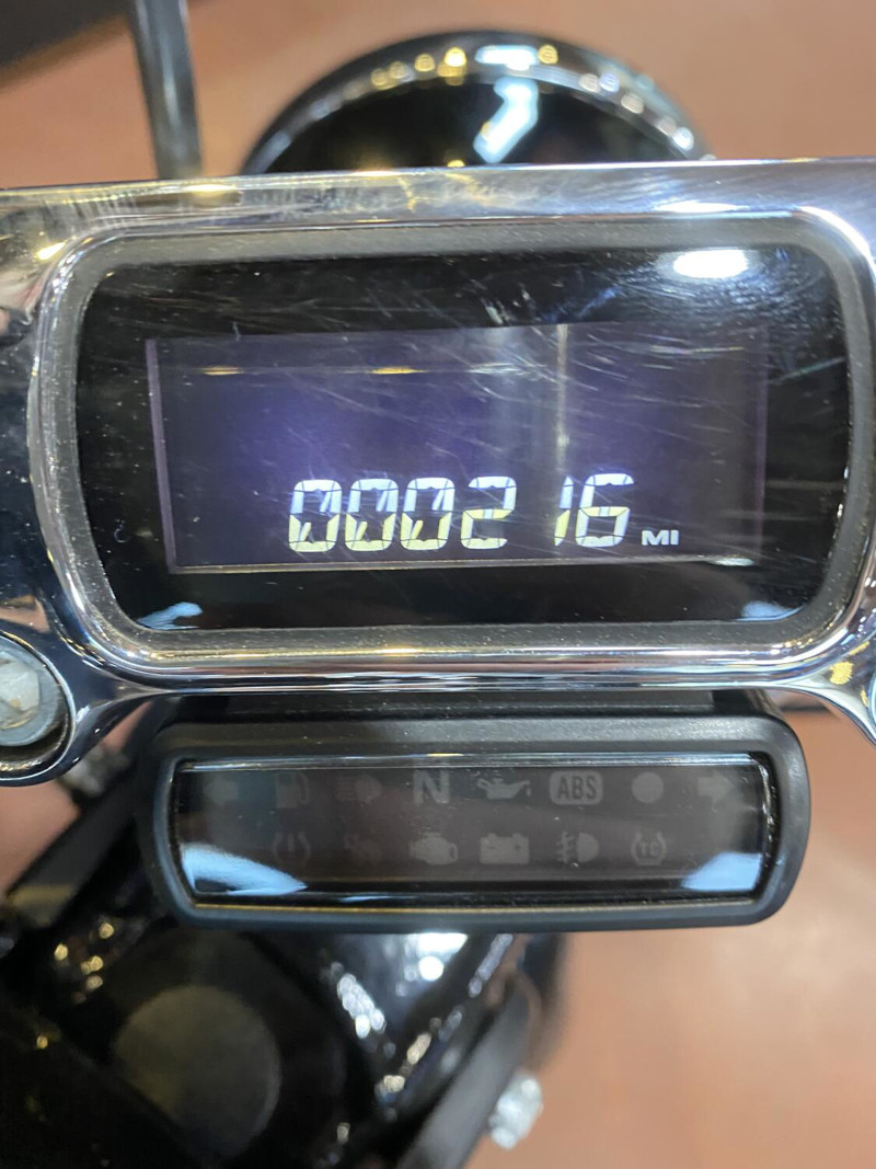 Softail® Standard