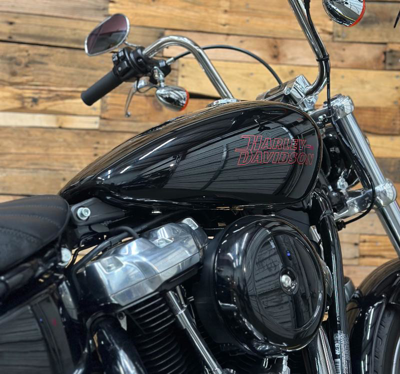 Softail® Standard