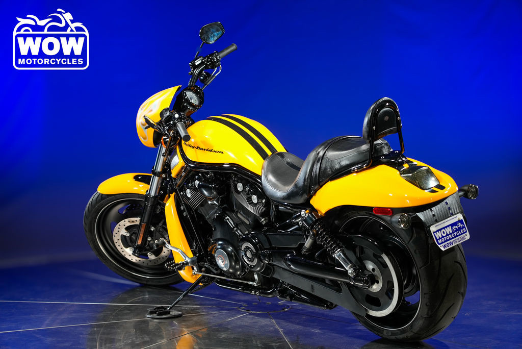 Night Rod® Special