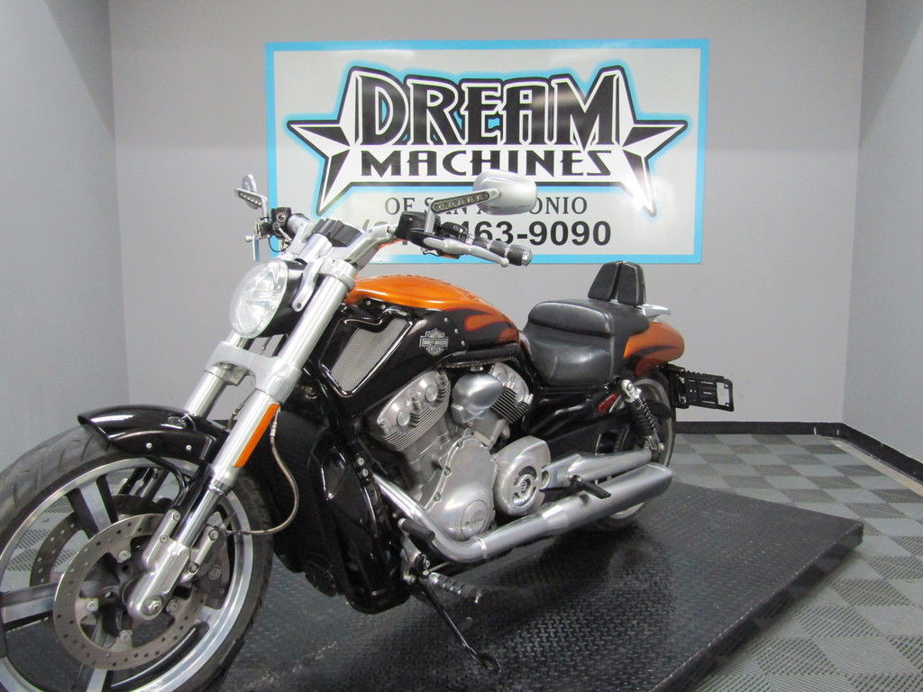 V-Rod® Muscle