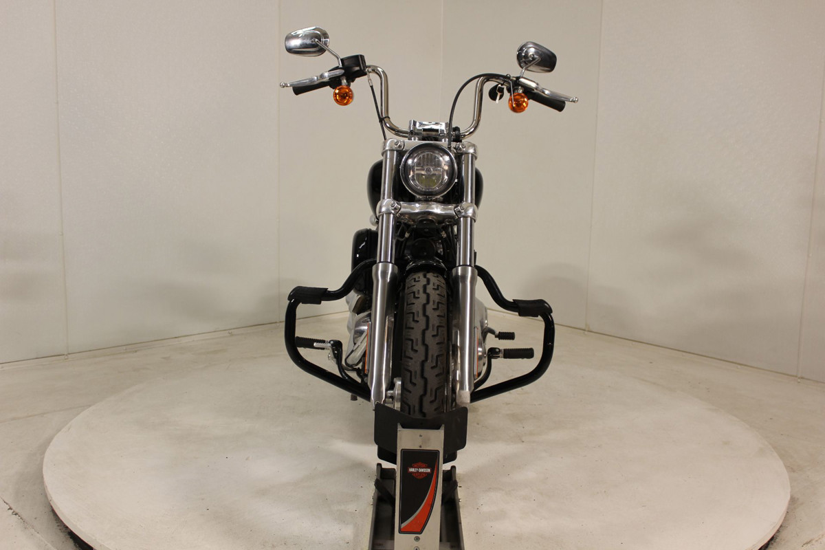 Softail® Standard