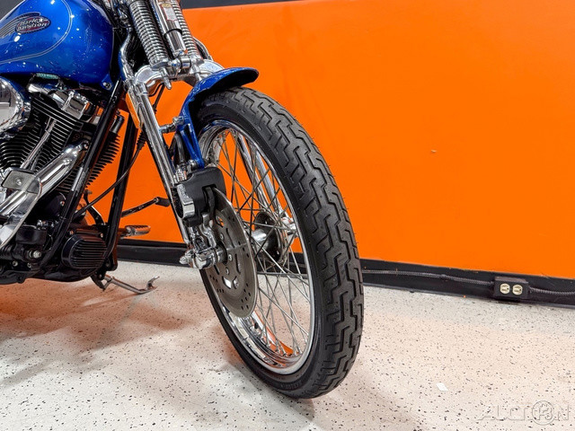 Springer® Softail®