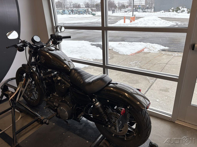2020 Harley-Davidson® XL883N Iron 883® for Sale in Cleveland, OH (Item ...