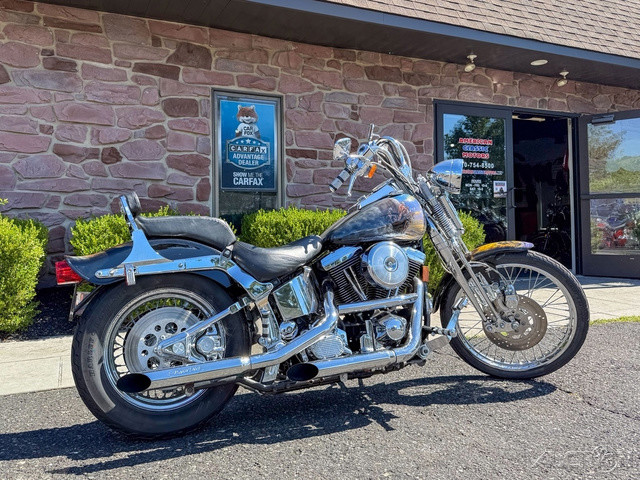 Springer® Softail®