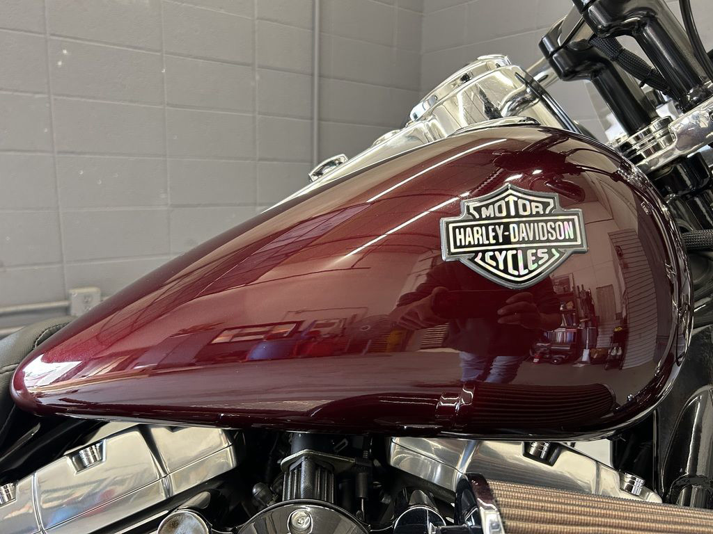 Dyna® Fat Bob