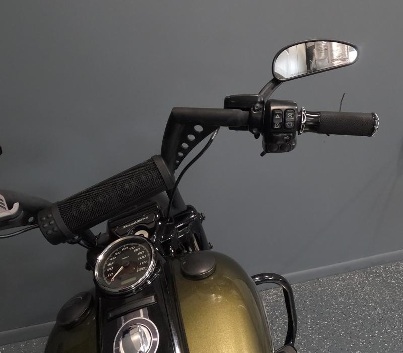 Road King® Special
