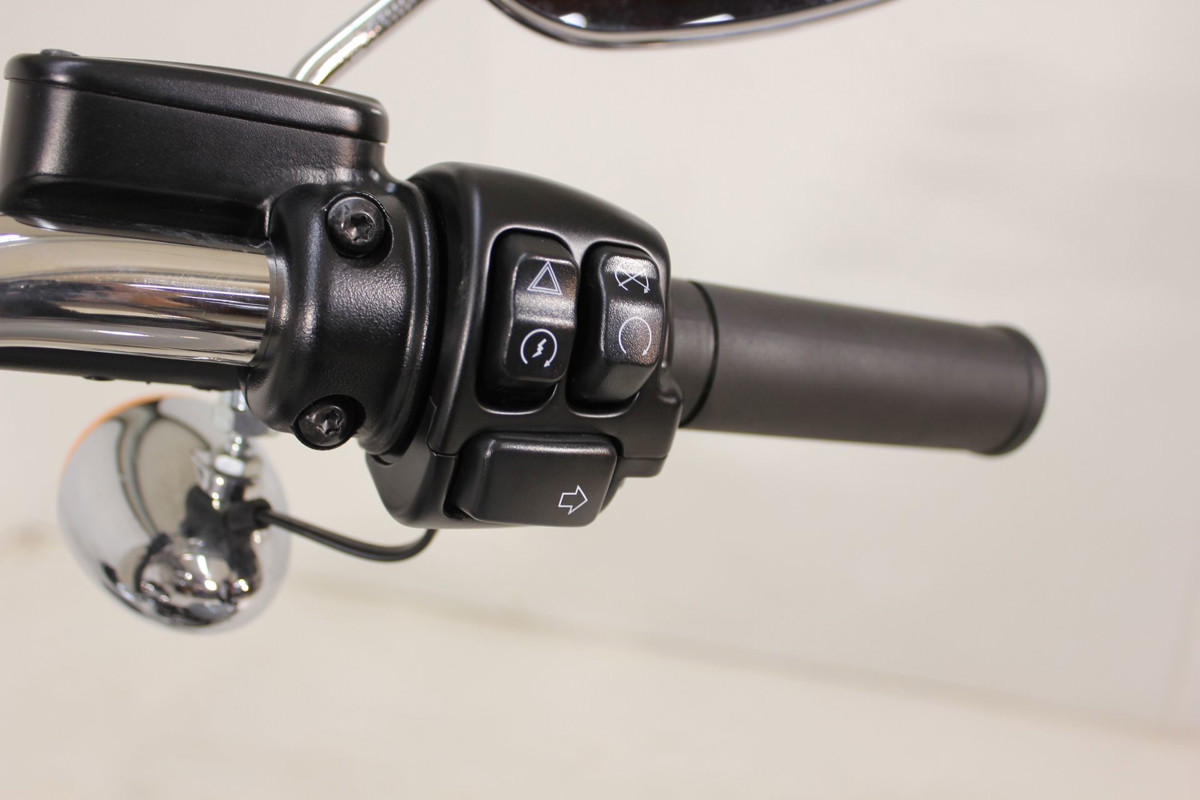 Softail® Standard
